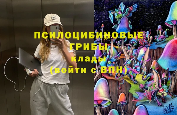 эйфоретик Богданович